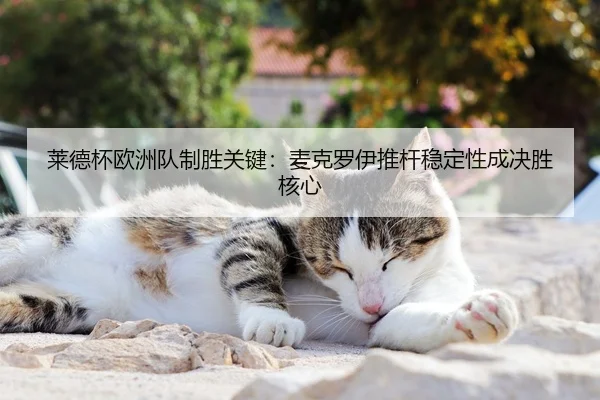 莱德杯欧洲队制胜关键：麦克罗伊推杆稳定性成决胜核心