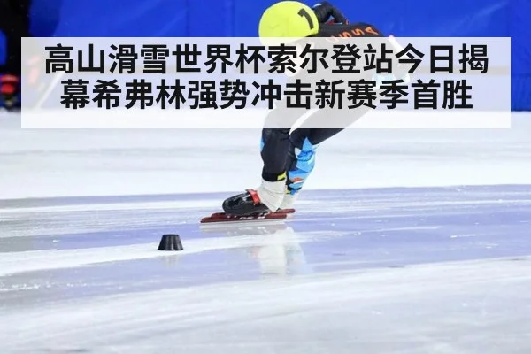 高山滑雪世界杯索尔登站今日揭幕希弗林强势冲击新赛季首胜